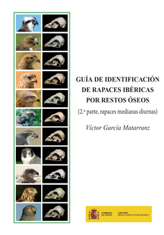 Guía de identificación de rapaces ibéricas por restos óseos