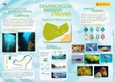 Demarcación marina canaria