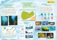 Canarian marine subdivision Portada de: Canarian marine subdivision