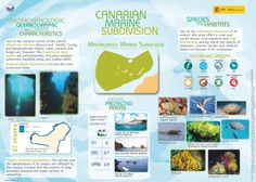 Canarian marine subdivision