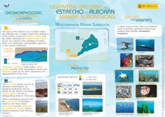 Levantine-balearic and estrecho and alborán marine subdivisions