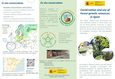Conservation and use of Forest genetic resources in Spain