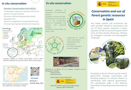 Conservation and use of Forest genetic resources in Spain