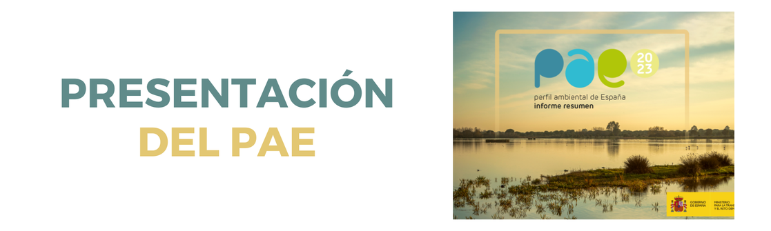 Presentación del PAE