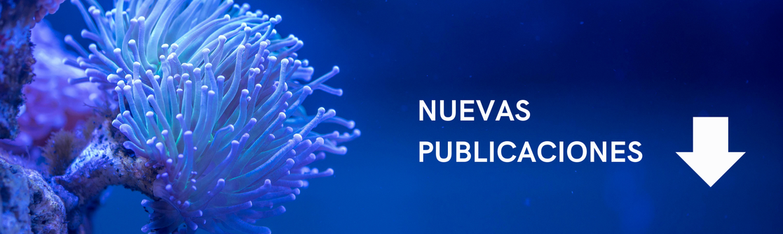 Nuevas publicaciones